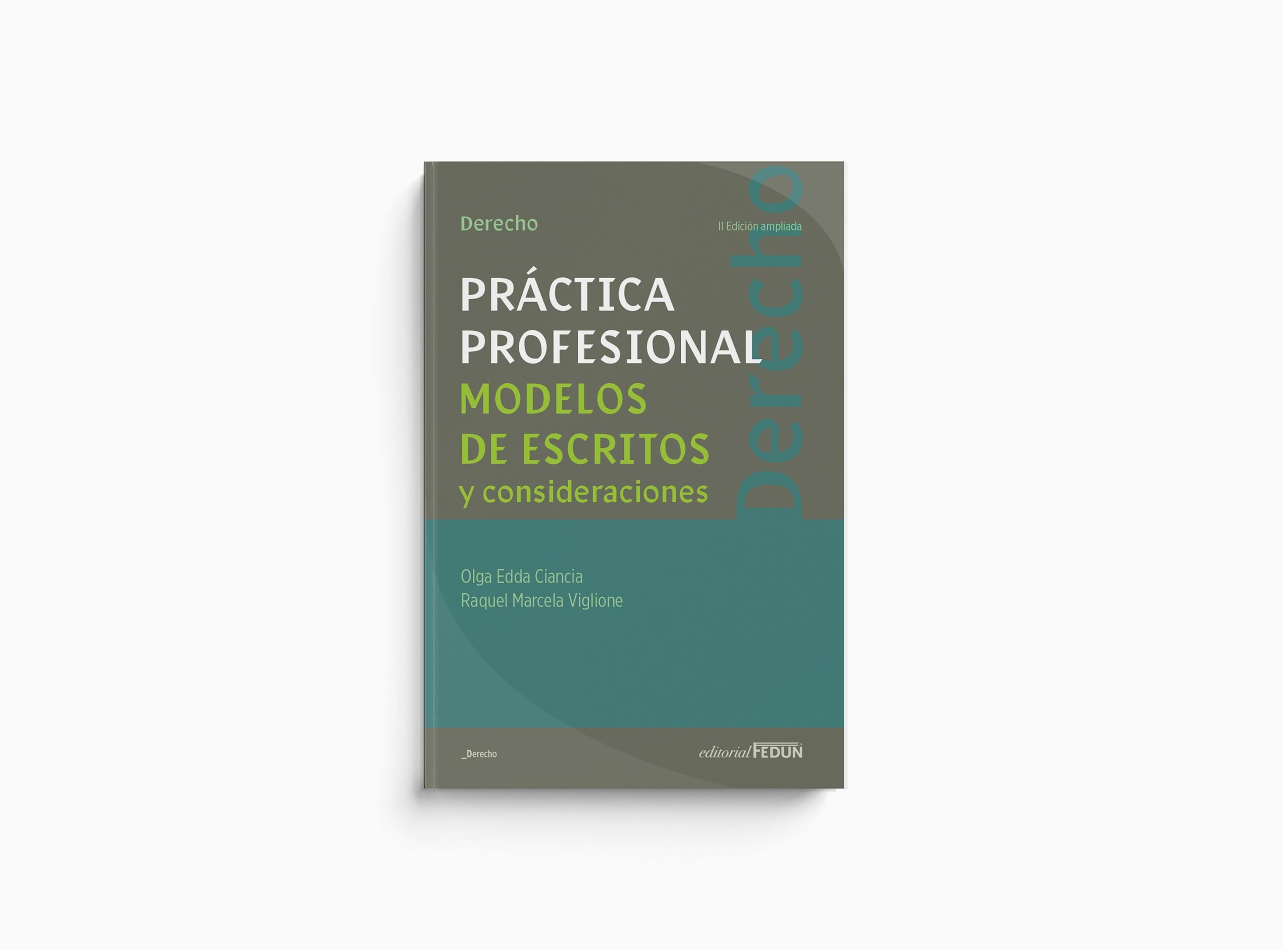 Práctica Profesional, Modelos de escritos y consideraciones
